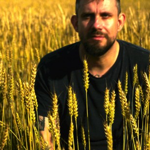 PeterDolving_Cornfield
